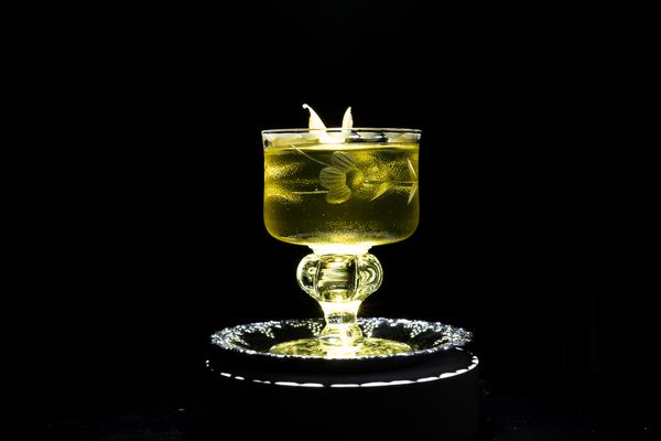 Off-White Negroni