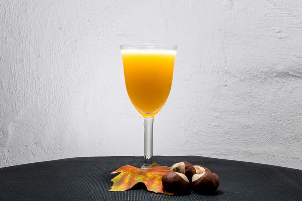 Royal Cadiz Yacht Club